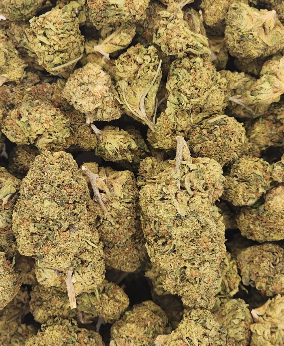 ACAI GELATO · EXOTIC