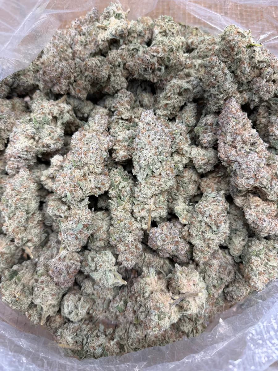 BANANA MELTS · EXOTIC
