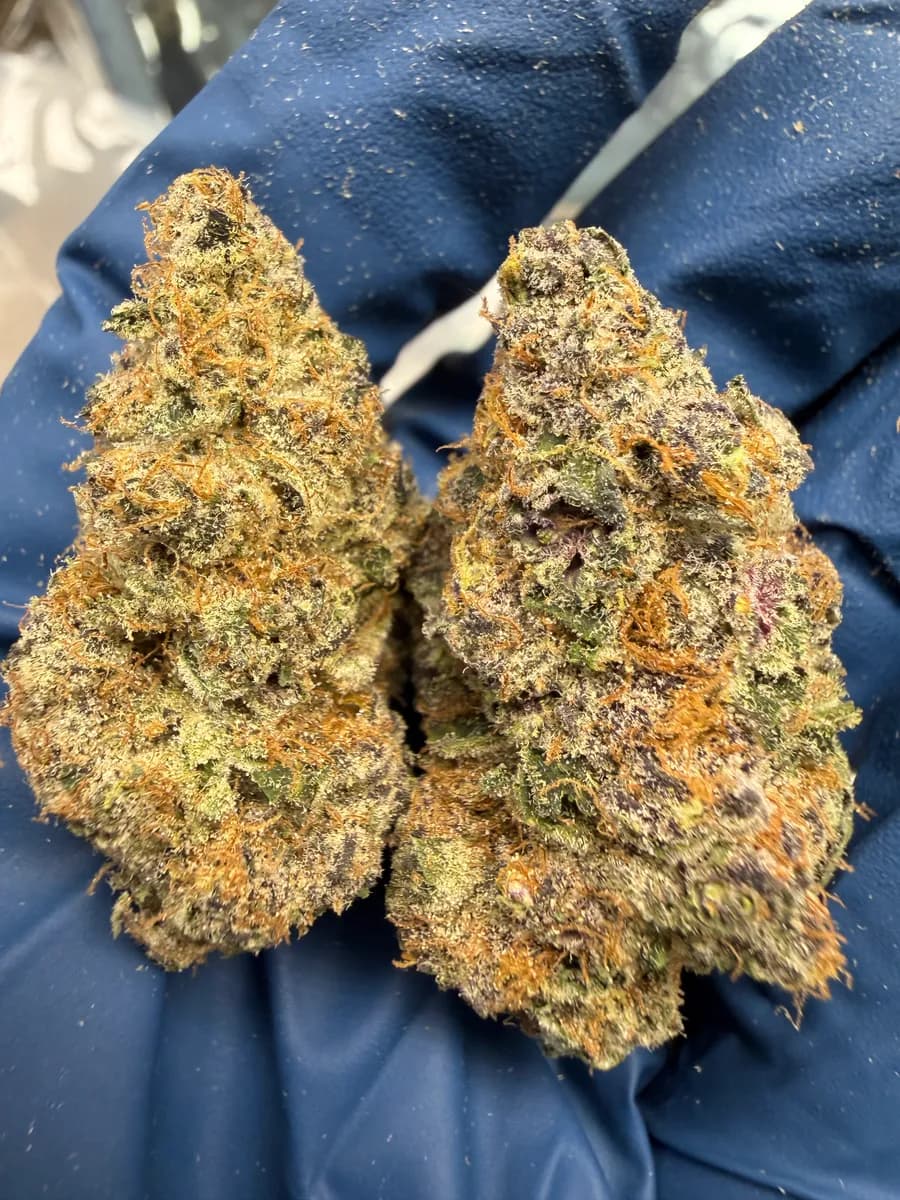 BLOCKBERRY · EXOTIC