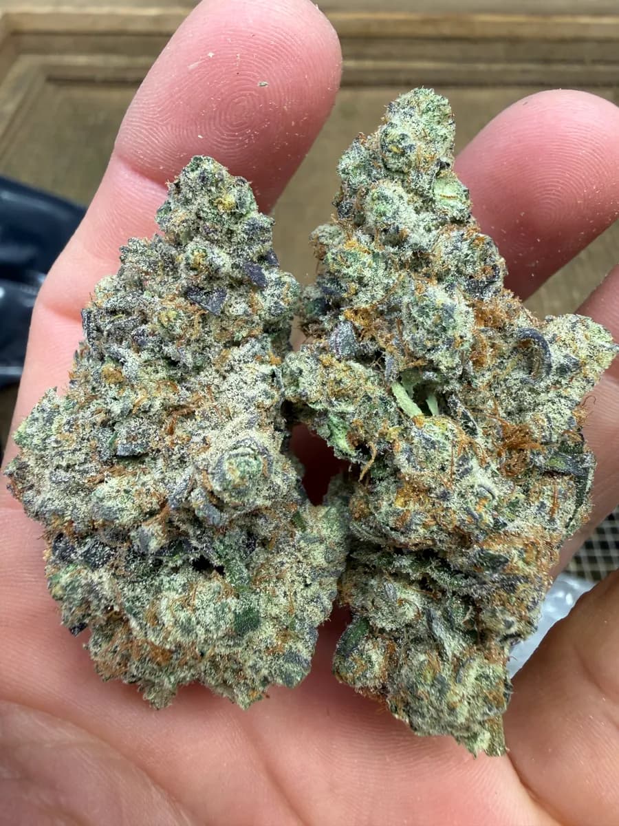 CAKE N BAKE · EXOTIC