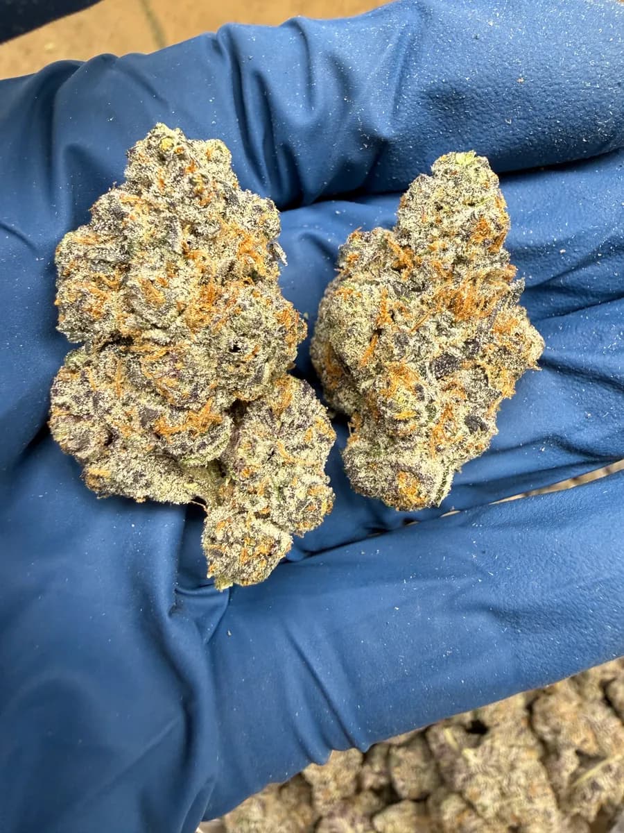 CAKED UP CHERRY · EXOTIC