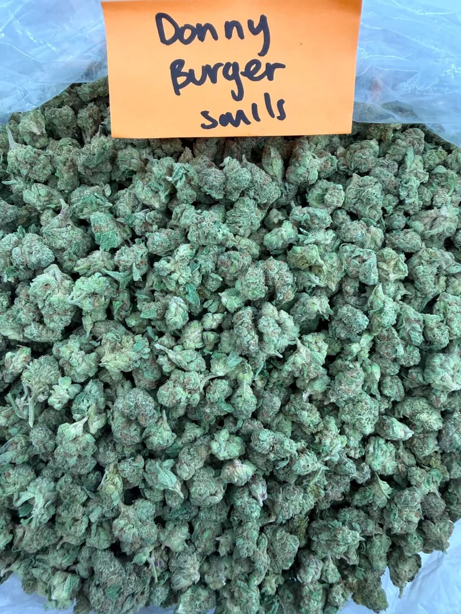 DONNY BURGER SMALLS · EXOTIC / AAA