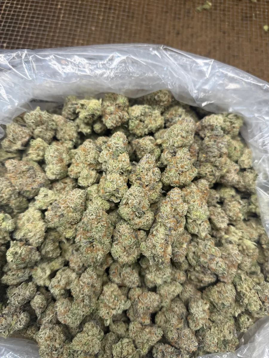 FROSTED GUAVA · EXOTIC
