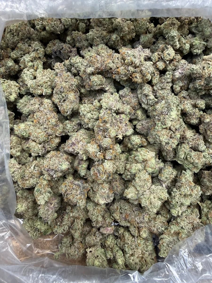 GMO · EXOTIC