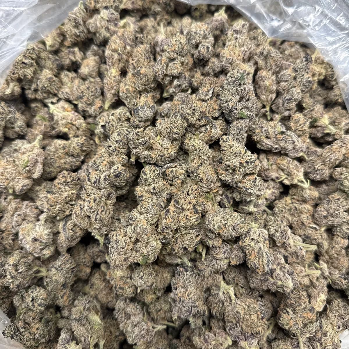 GRAPE GAS · EXOTIC