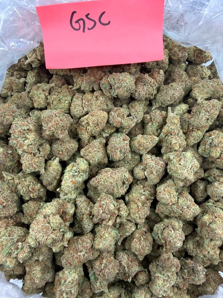 GSC · EXOTIC