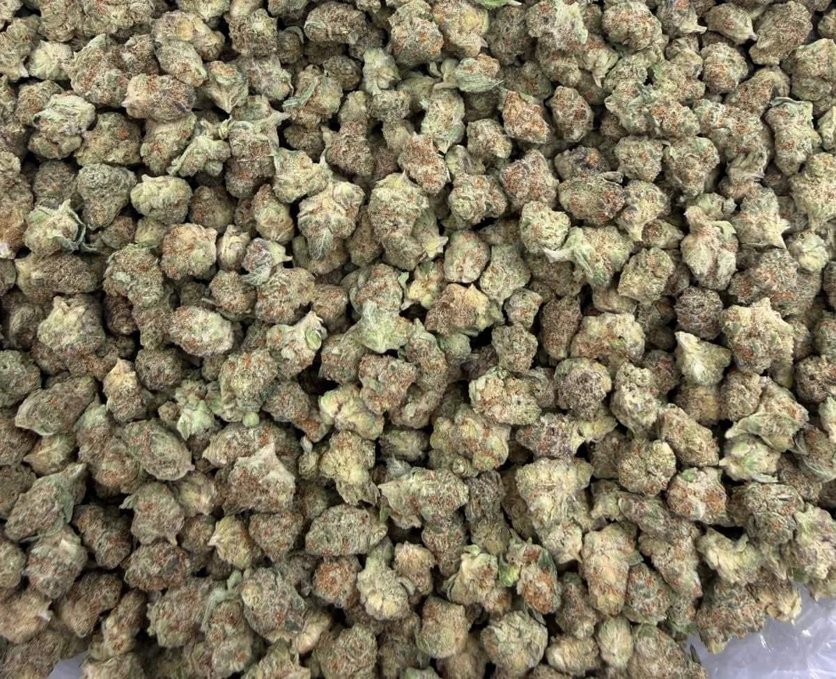 GSC SMALLS · AAA