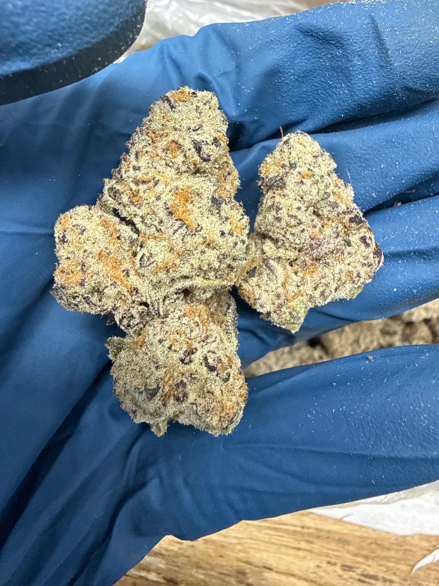 HAWAIIAN SNOWCONE · EXOTIC