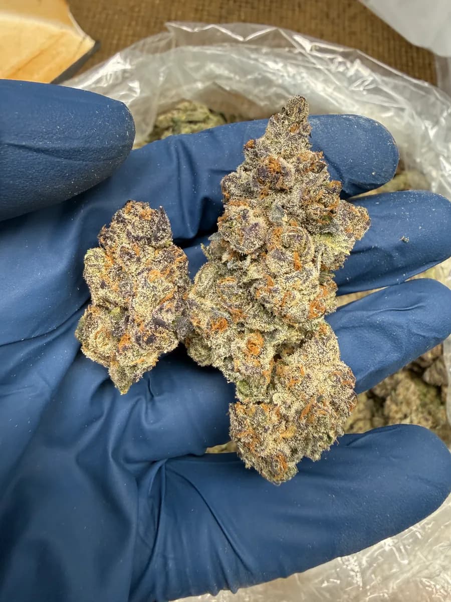 LEMON CHERRY SWIRL · EXOTIC