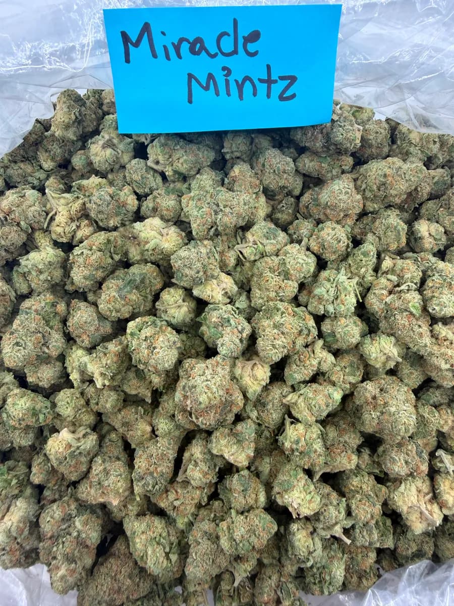 MIRACLE MINTZ · AAA