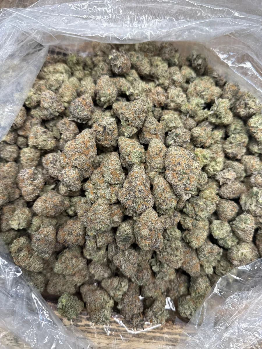 PURPLE HAZE · EXOTIC