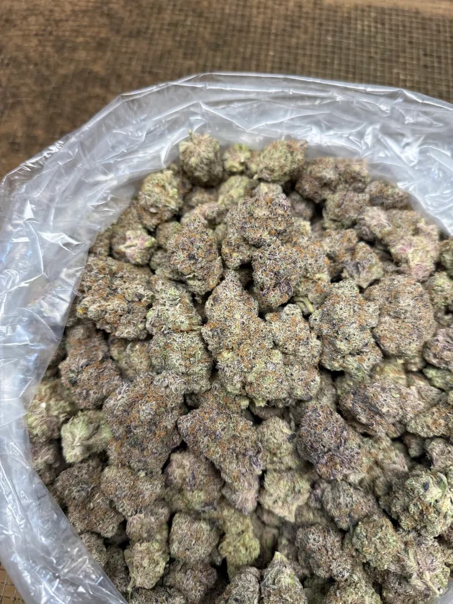 PURPLE VOODOO · EXOTIC