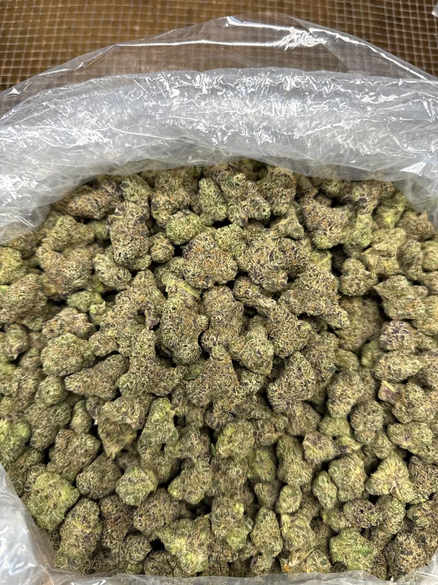 SHERBET · EXOTIC