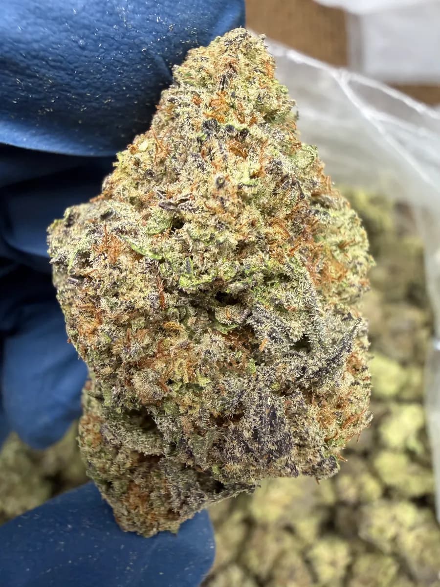 SMORES · EXOTIC