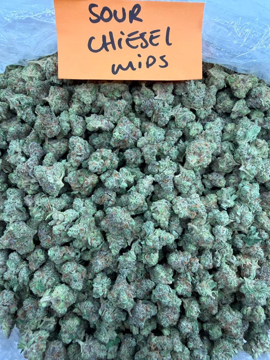 SOUR CHIESEL · AAA