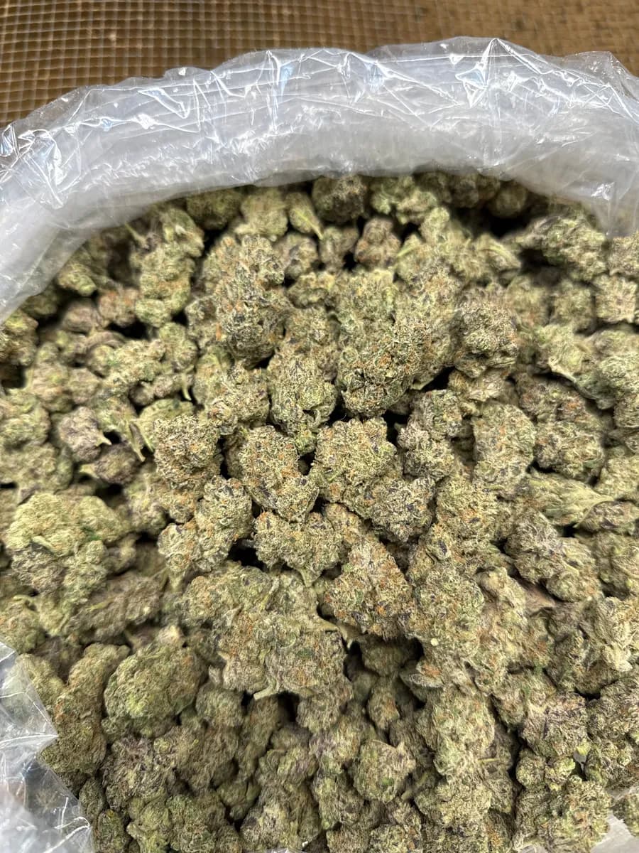 SPACE CAKE · EXOTIC