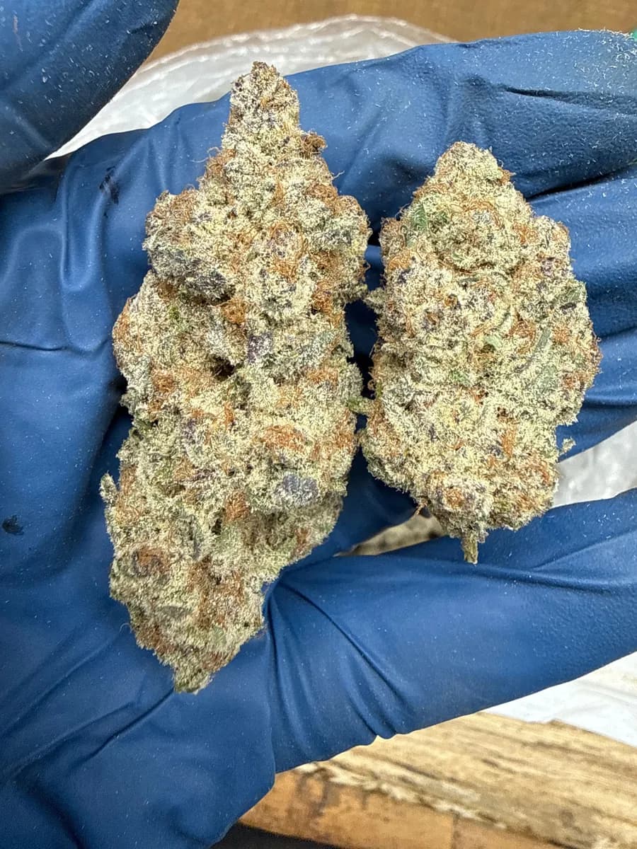 SUBZERO · EXOTIC
