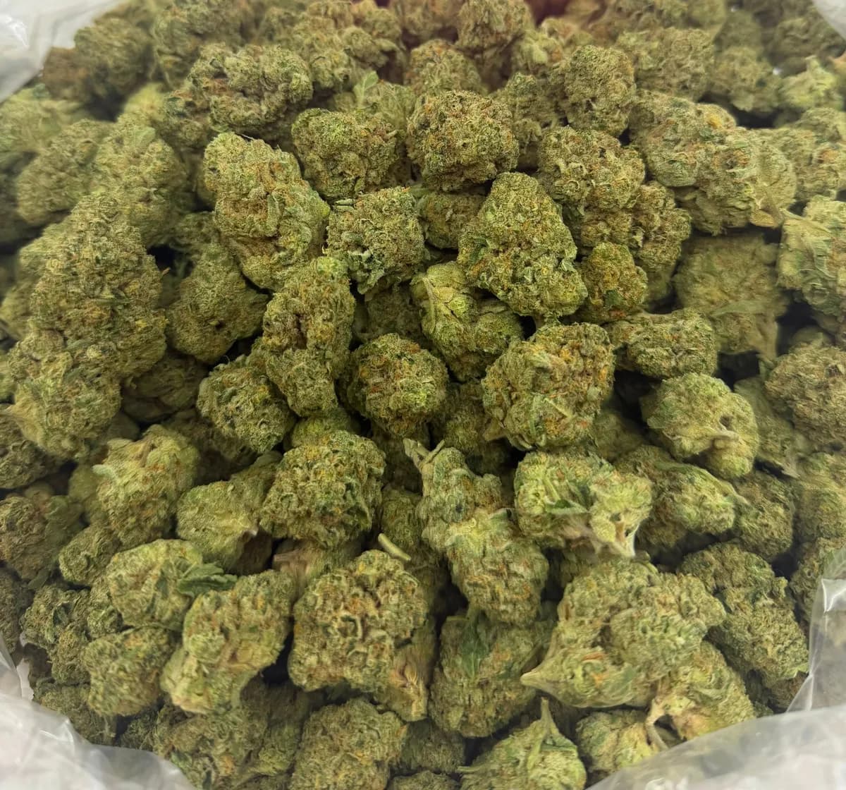 SUGAR COOKIES · AAA