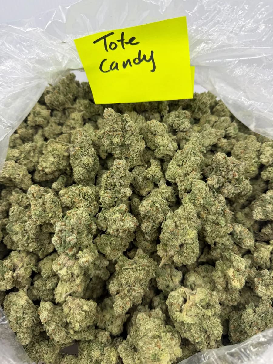 TOTE CANDY · EXOTIC