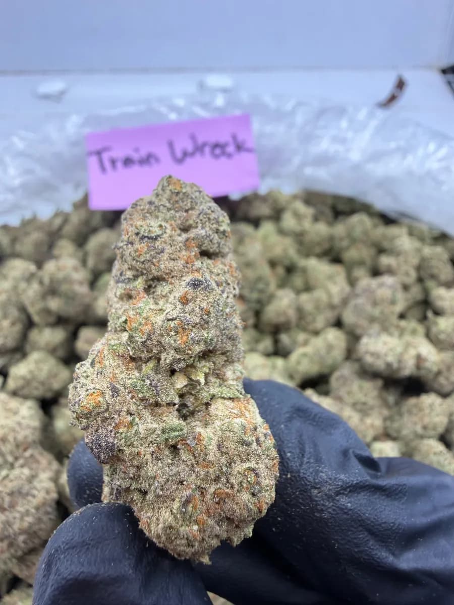 TRAINWRECK · EXOTIC