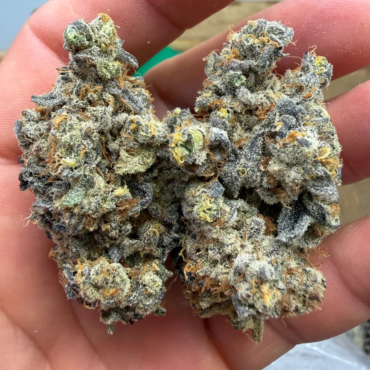 TRAP FUEL · EXOTIC